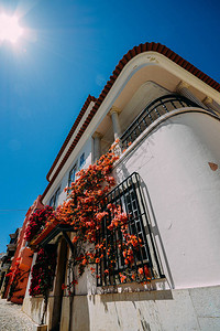 在葡萄牙卡斯凯的白洗房子覆盖着多背景图片