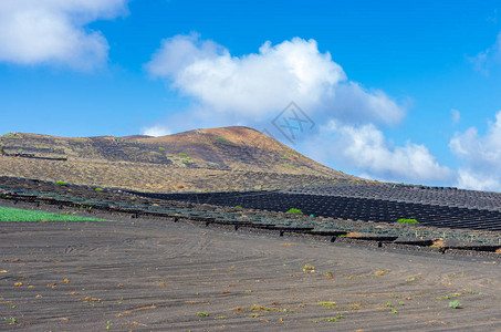 在兰萨罗特的LaGeria和Lanzarote有熔岩田和火山图片