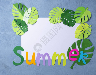 夏季背景与龟背竹叶子从纸顶视图图片