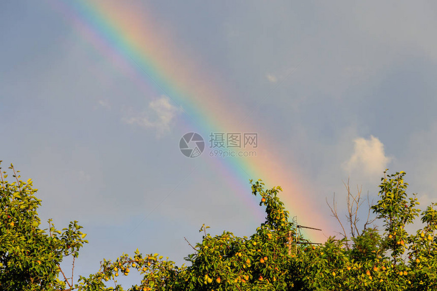 雨后天上的彩虹图片