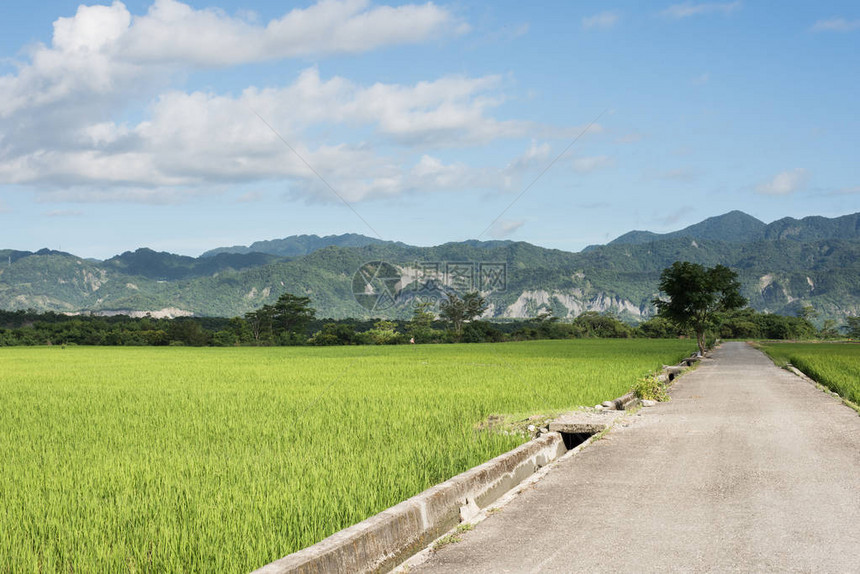 农场道路的乡村景观图片