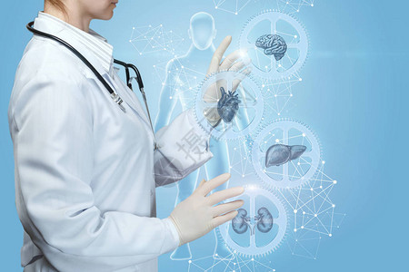 医生在数字人体图像背景下使用齿轮的内脏治疗机制进行操作的特写镜头图片