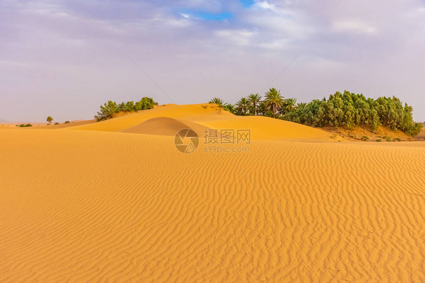 摩洛哥梅祖加Merzouga撒哈拉沙漠中美图片