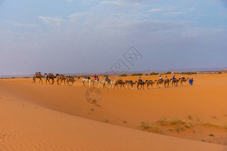 摩洛哥撒哈拉沙漠ErgChebb图片