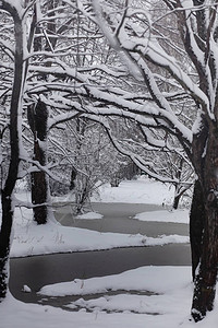 白雪覆盖的冬季公园和长椅公园和码头喂子和鸽子一家人在雪地里散步图片