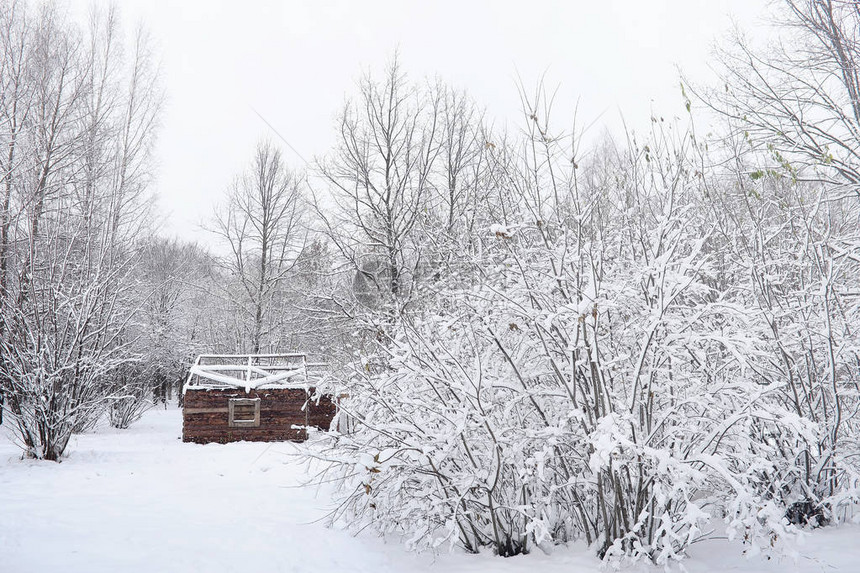 白雪覆盖的冬季公园和长椅公园和码头喂子和鸽子在雪地里散步图片
