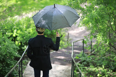 春公园在雨天一个年轻图片