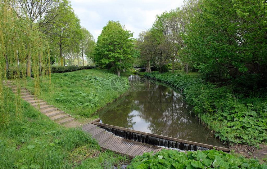 荷兰Kaatsheuvel的Duiksehoef公园绿树图片