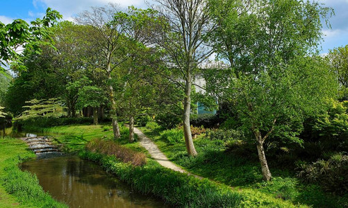 荷兰Kaatsheuvel的Duiksehoef公园绿树图片