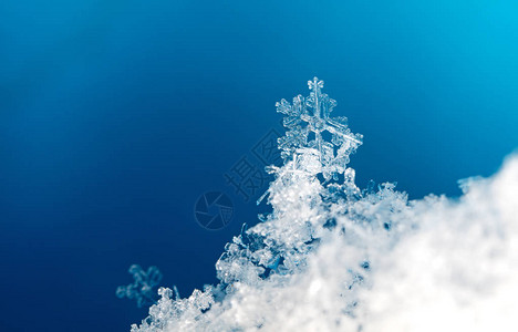 雪上的雪花图片是在8C背景图片