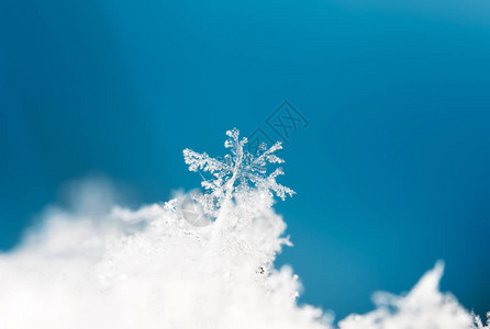 雪上的雪花图片是在8C背景图片