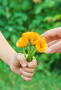 孩子把花送给他的母亲选择图片