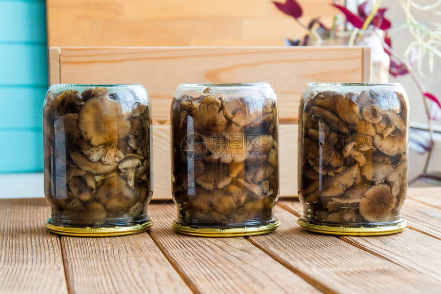 在玻璃罐子里的阿米利亚煎蘑菇秋天图片