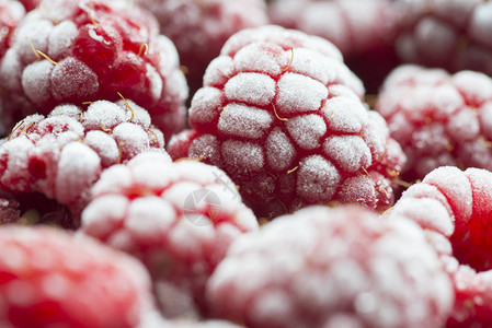 冷冻的草莓非常贴近冬季可图片