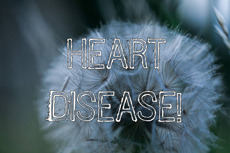 文字书写文本心脏病展示涉及心脏或血管的疾病类图片
