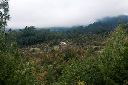 在绿丛林中的孤单白屋土耳其在图片