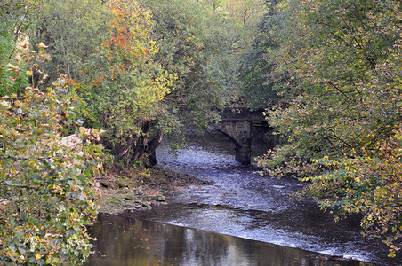 希伯登桥附近带石桥和周围树木图片