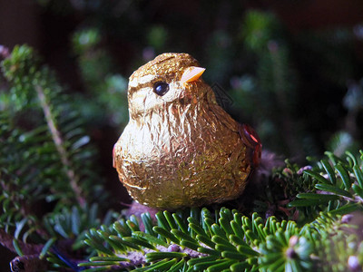 松树枝上的金色闪亮鸟圣诞树装饰图片
