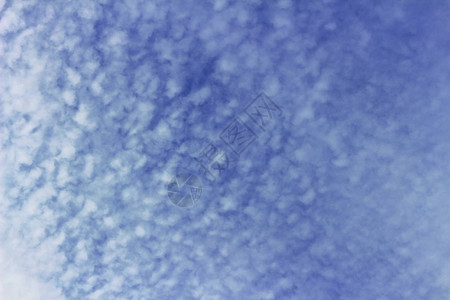 散布在蓝天的积云图片