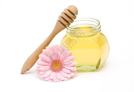 蜂蜜和粉红格柏背景图片