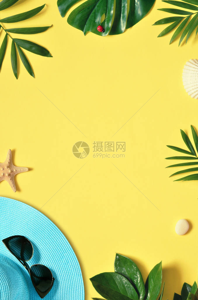 热带背景棕榈树分支海星帽和黄底贝壳的海螺旅图片