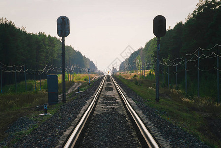 神秘的火车沿着森林通过铁路旅行铁路红绿灯和在远处的铁路铁轨上的海市蜃图片