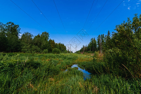 在蓝天空下自然的夏日森林中的高压电源线图片