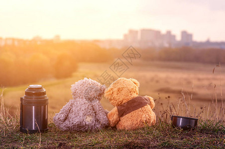 两只泰迪熊坐在山顶的秋天落叶上仰望着阳光照耀的城市在热图片
