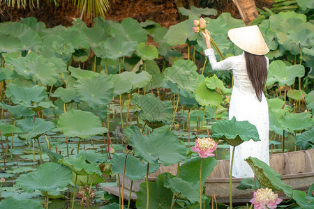 美丽的亚洲女穿着白色传统越南服饰AoWai和越南农民的帽子图片