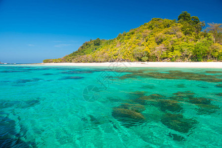 透明蓝色海水和带海滩的热带岛图片