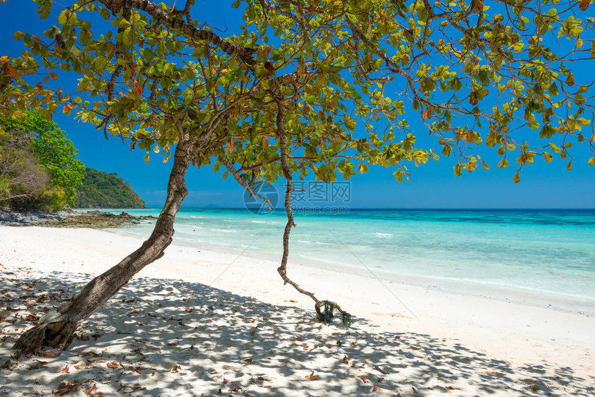 热带岛屿上美丽的海滩带白沙图片