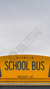 黄色校车的垂直后方图片