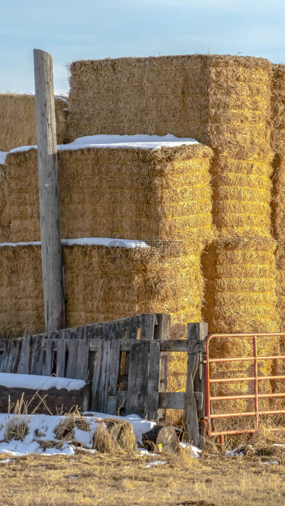 垂直的干草块堆积在犹他州鹰山农场的围栏区域内图片