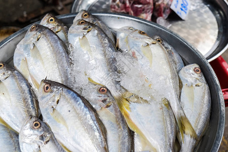 在传统渔业市场出售海食鱼O图片