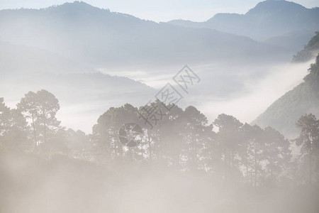 在山林日出自然景观的晨雾图片