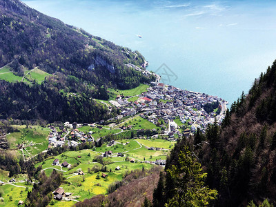 瑞士施维兹州Gersauerstock瑞士施韦茨州格萨乌湖或Vierwaldstatersee湖岸边的格图片