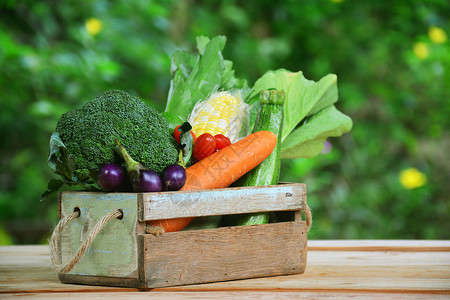木箱里的蔬菜和模糊的花园图片