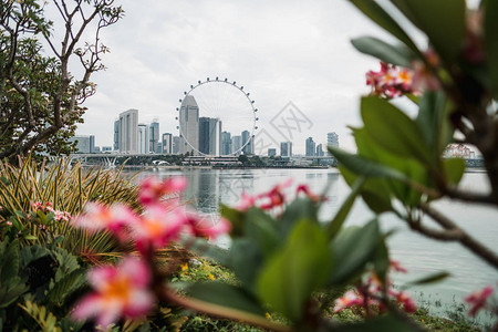 美丽的新加坡城市景观图片