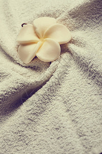 白色纯毛巾上的肥皂花背景图片