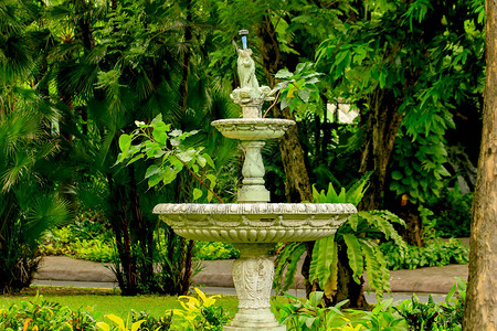 公园中的旧白色喷泉是花园装图片