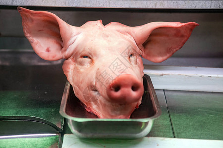 猪头躺在肉店里图片