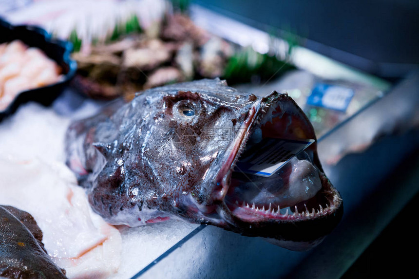 英国市场鲜鱼展品销售图片