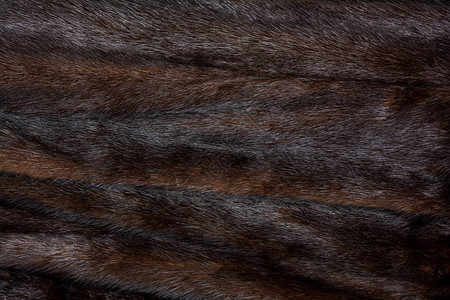 自然棕色发光的毛皮纹理图片