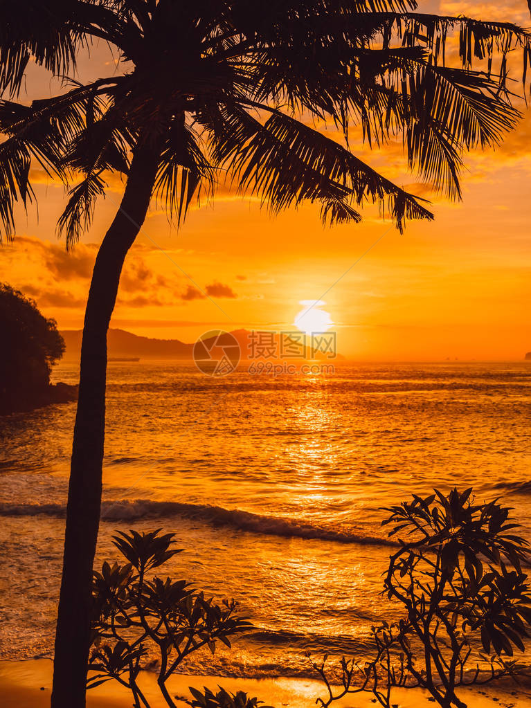 海边热带海滩的椰子棕榈和日出图片
