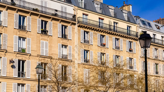 巴黎美丽的建筑典型的法国面图片