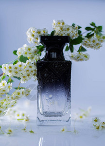 香水和白花图片