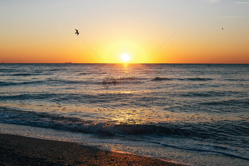 美丽的太阳升起和海鸥在热带岛屿海浪上方的红色天空中飞翔夕阳下的海浪宁静的平静时刻暑图片