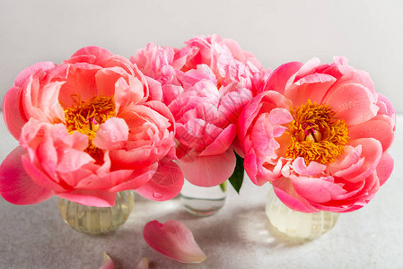 光背景的粉红花束惊人的粉红色花束卡概念图片