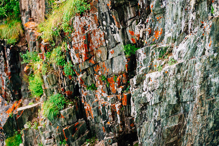 长满苔藓的橙色岩石层状山体表面图片