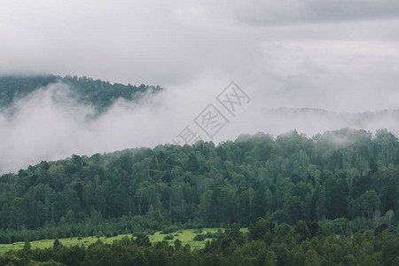山中浓雾图片